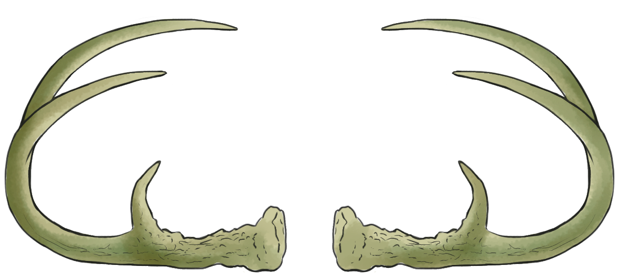 Antler Overlay