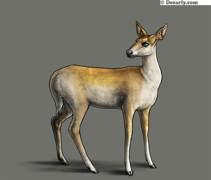 Golden Dust by Larry