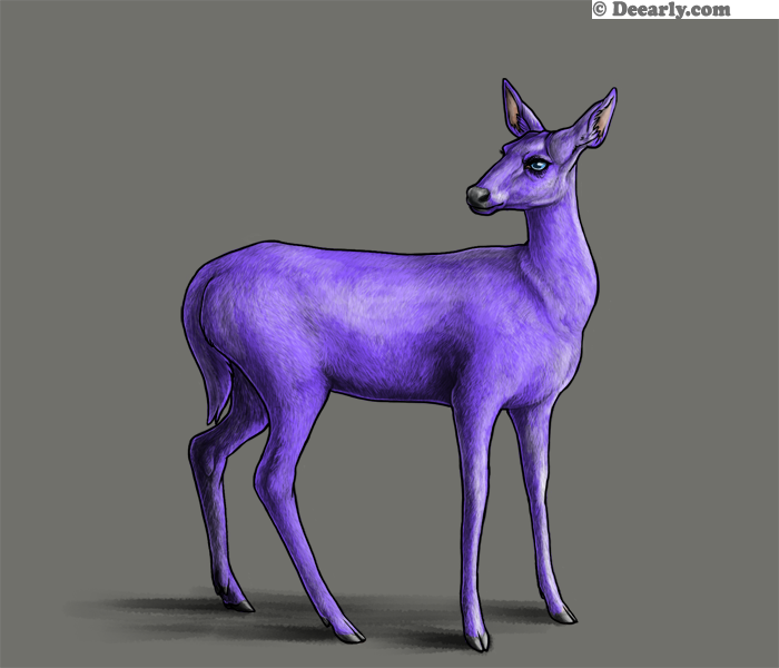 Tanzanite by Freesia