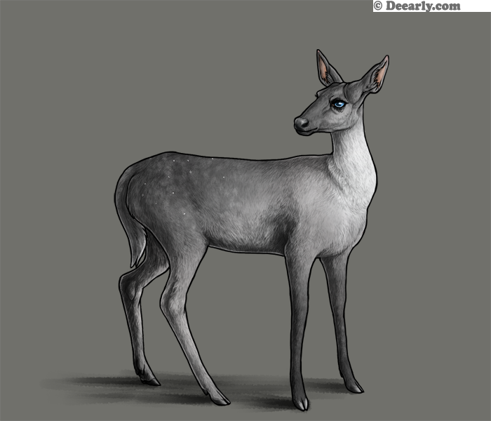 Stormy Night by Larry